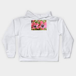 Tulipa  &#39;Little Beauty&#39;  AGM  Tulip  Miscellaneous tulip Kids Hoodie